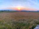 Beautiful sunset
