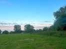 Lovely meadow