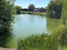 Lakeside pitches