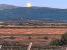 Harvest moon rising.