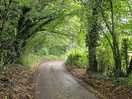 Lovely walk