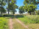 View to camping area
