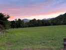 Site