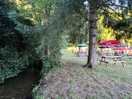 Pub garden