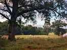 The view as you arrive into the camping field. the tent visible is the robens tent we stayed in.