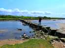Stepping stones