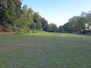 Tent area