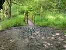 Walk