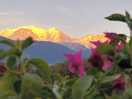 Mont blanc view