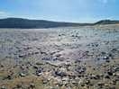 Low tide
