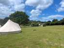 Yurt field