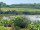 Wildlife haven