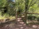 Walking the ant trail