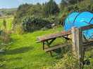 Hilly pitch by woodland