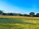 Meadow view - great for watching stars at night