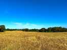 Walk across fields