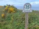 Ravenscar