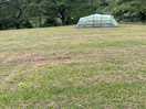 Quiet, spacious site