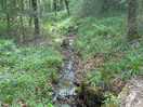 Country walks