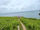Costal path attached to site