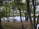 Pond