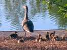 Lovely wildlife