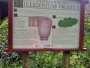Explaining history