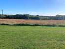 View from our pitch, wild flowers