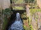 Local waterway