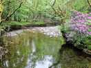 Pretty walk..