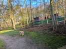 Dog friendly