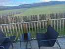 The view
