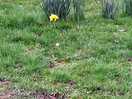 First signs of spring!
