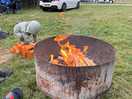 Campfire