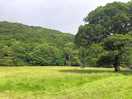 The camping field view from car parking spaces