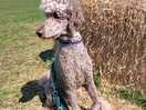 By the hay bale