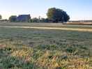 Top field