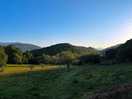 Orchard