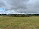 View from site