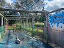 Splash tunnel