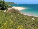 Daymer bay