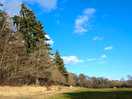 Clear sky