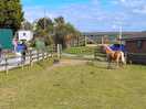 Horse riding available and lovely animals to view