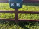 A few of these located around the park. if you run out of poo bags
