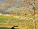 From caravan window