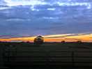 Views from site