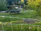 Picnic benches by the lake