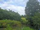Revels fishery