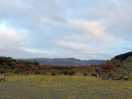Walk around the estate