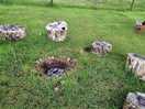 Firepit